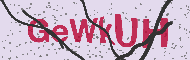 Güvenlik Kodu
