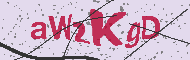Güvenlik Kodu